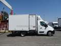 Opel Movano RG ISOTERMICO + FRIGO IN ATP -20° CON PARATIA Weiß - thumbnail 10