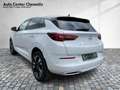 Opel Grandland 1.5D AT8 Elegance Matrix/Navi/Alcantara Weiß - thumbnail 4