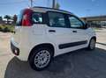 Fiat Panda Panda 1.3 mjt 16v Lounge 75cv E5+ Bianco - thumbnail 5