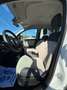 Fiat Panda Panda 1.3 mjt 16v Lounge 75cv E5+ Bianco - thumbnail 8