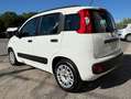 Fiat Panda Panda 1.3 mjt 16v Lounge 75cv E5+ Bianco - thumbnail 3