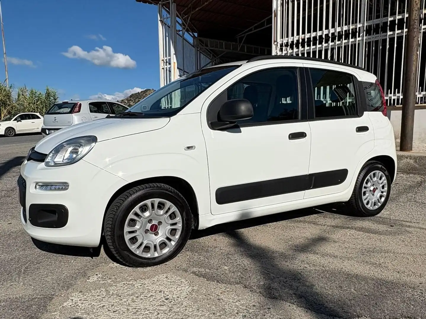 Fiat Panda Panda 1.3 mjt 16v Lounge 75cv E5+ Bianco - 1