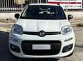 Fiat Panda Panda 1.3 mjt 16v Lounge 75cv E5+ Bianco - thumbnail 2
