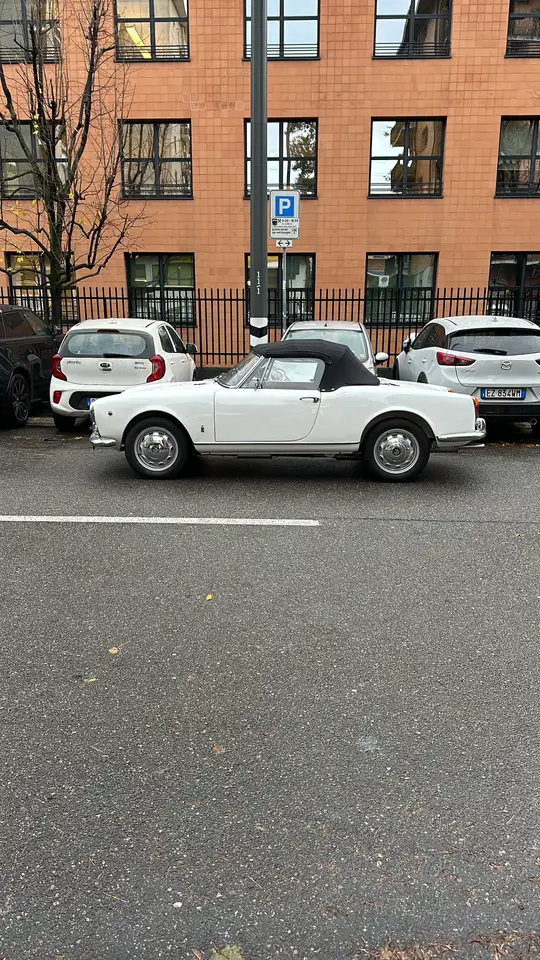Alfa Romeo Giulia Spider 1600, foto 6