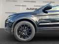 Land Rover Range Rover Evoque SE 2,0 TD4 9G PanD/Kamera/18Z Negro - thumbnail 7