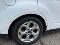 Ford C-Max 1.6 TDCI Titanium Weiß - thumbnail 17