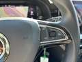Skoda Scala Ambition TDI DSG Grau - thumbnail 13