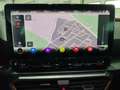 CUPRA SP 1.5 eTSI 110kW (150CV) DSG Gris - thumbnail 13