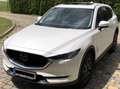 Mazda CX-5 Mazda CX-5, AWD, Revolution TOP, Automatik Weiß - thumbnail 1