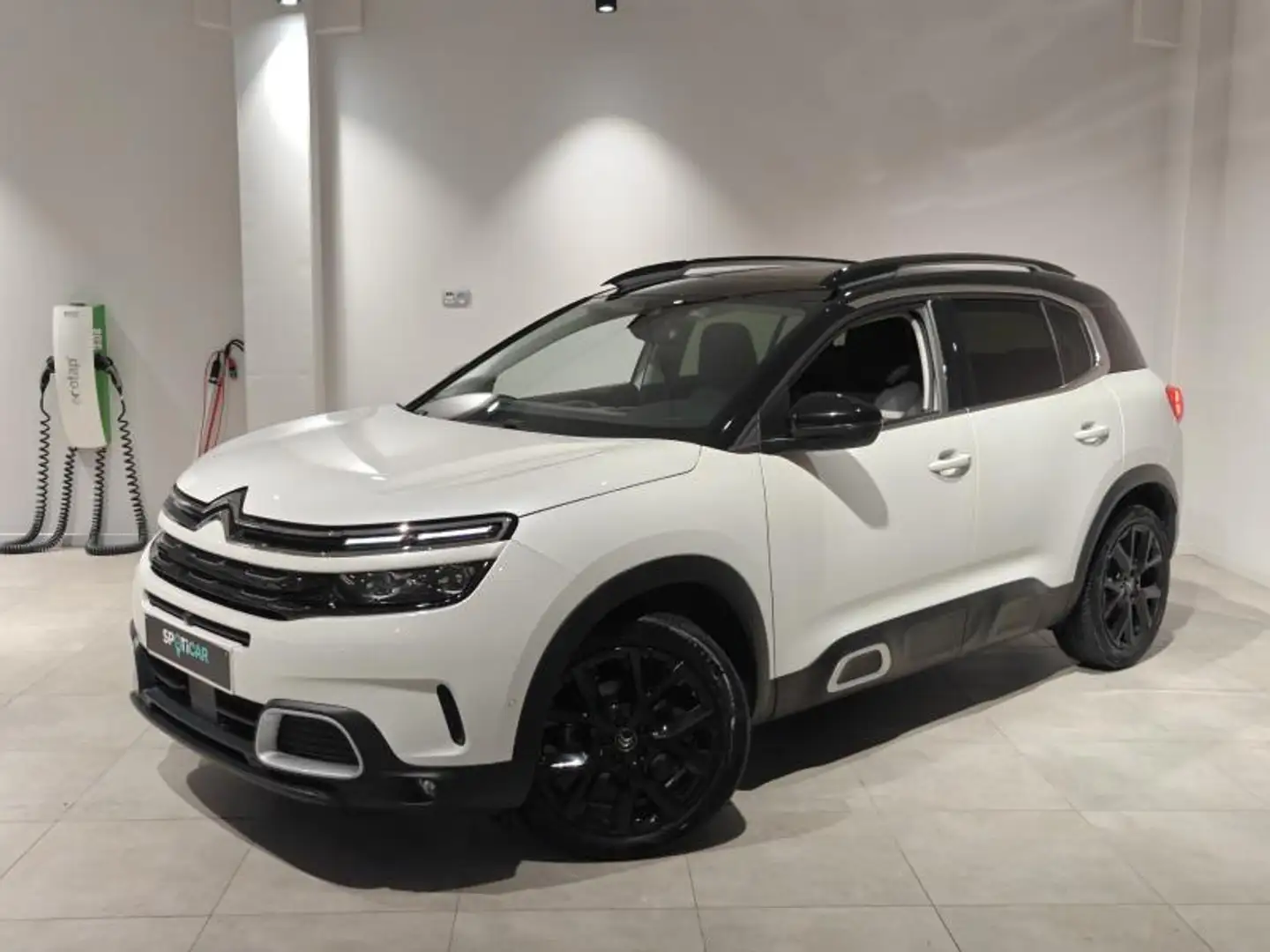 Citroen C5 Aircross Shine - Leer - Pano open dak Weiß - 1