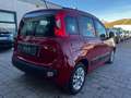 Fiat New Panda 1.3 MJT S&S Red - thumbnail 5