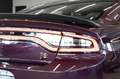 Dodge Charger Scat Pack|CARBON|ACC|NAVI|HARMAN KARDON Lilla - thumbnail 7