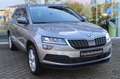 Skoda Karoq Style /AHK/LED Beige - thumbnail 4