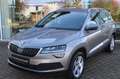 Skoda Karoq Style /AHK/LED Beige - thumbnail 2