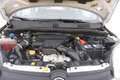 Fiat Panda 4x4 1.3 Diesel 95CV Weiß - thumbnail 13