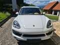 Porsche Cayenne Cayenne II S Hybrid PHEV Aut. S Weiß - thumbnail 14
