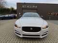 Jaguar XE XE E-Performance Prestige Wit - thumbnail 6