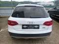 Audi A4 allroad 2.0 TDI quattro Pano, Kamera, AHK Blanc - thumbnail 5