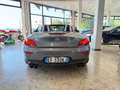 BMW Z4 sDrive23i Grigio - thumbnail 24