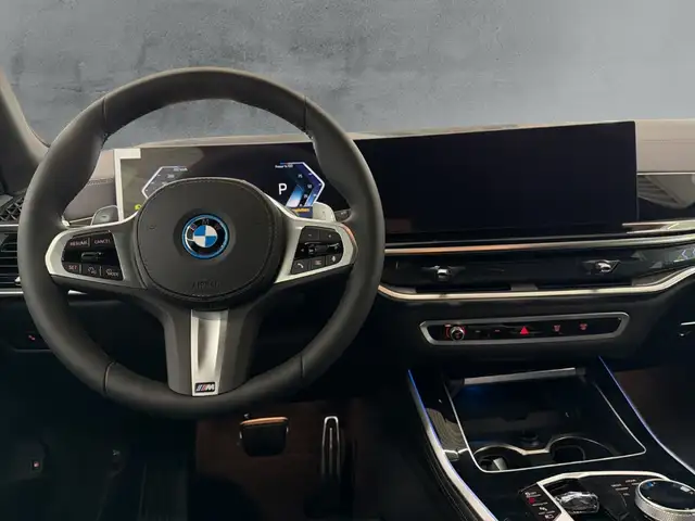 BMW X5 view 10