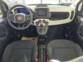 Fiat Panda Pandina Cross 1.0l Hybrid 65 Gelb - thumbnail 9