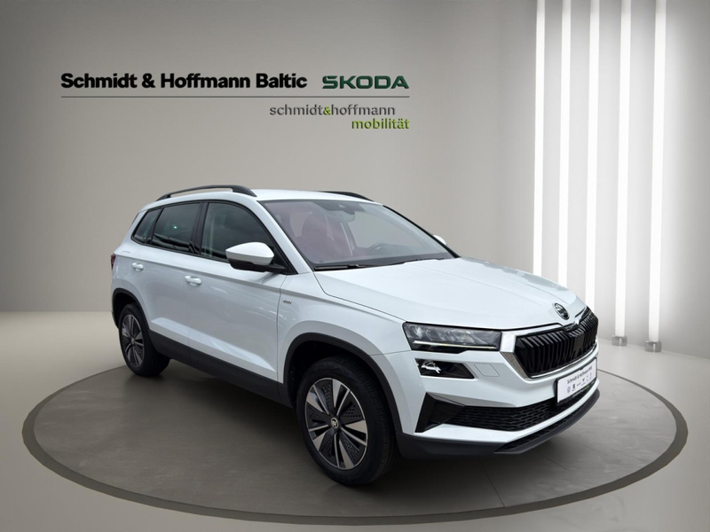 Skoda Karoq Tour Klima Navi Rückfahrkamera Sitzheizung — photo 8