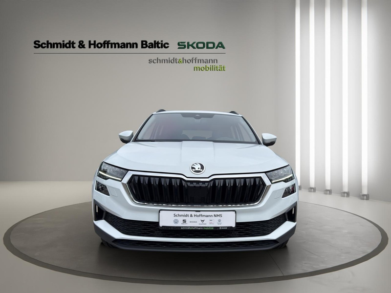 Skoda Karoq Tour Klima Navi Rückfahrkamera Sitzheizung — photo 2