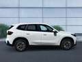 BMW iX1 xDrive30 DAB LED Pano.Dach Komfortzg. AHK Blanc - thumbnail 2