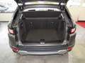 Land Rover Range Rover Evoque SE 4x4 Grau - thumbnail 20