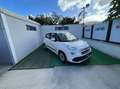 Fiat 500L 1.3 mjt Business 95cv dualogic my19 - thumbnail 7