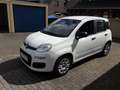 Fiat Panda 1.2 ,Klima, GJR, PDC Blanc - thumbnail 2
