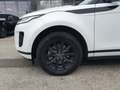 Land Rover Range Rover Evoque 2,0 D150 Automatik Weiß - thumbnail 6