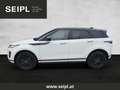 Land Rover Range Rover Evoque 2,0 D150 Automatik Weiß - thumbnail 3