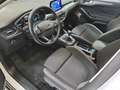 Ford Focus Turnier 1,5 EcoBlue Cool & Connect Weiß - thumbnail 7