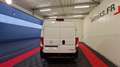 Opel Movano 3.3t l1h2 140 ch pack business Blanco - thumbnail 6