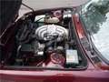 BMW 325 i Cabrio E30 (1987) Aut. bordeaux 64000 km + doc.! Rood - thumbnail 9