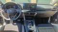 CUPRA Leon Leon SP Kombi 2.0 TDI DSG 150 Grau - thumbnail 10