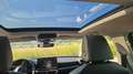 CUPRA Leon Leon SP Kombi 2.0 TDI DSG 150 Grau - thumbnail 15