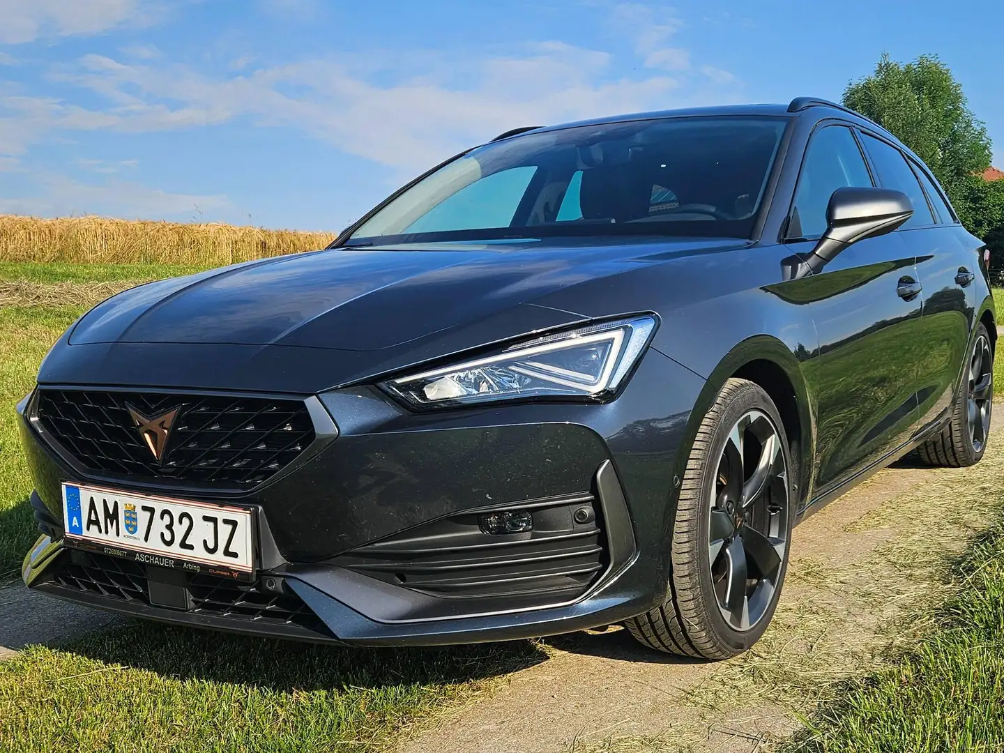 CUPRA Leon Leon SP Kombi 2.0 TDI DSG 150 Grau - 1
