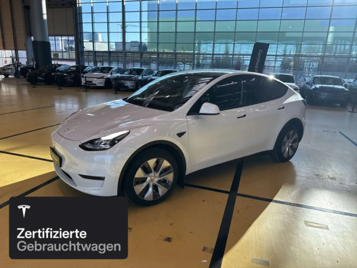 Tesla Model Y Long Range AWD Weiß - 1