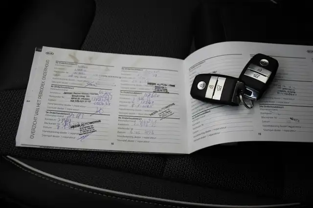Kia E-Niro view 12