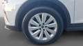 SEAT Arona TODOTERRENO 1.0 TSI 81KW STYLE XM EDITION DSG 110 Blanco - thumbnail 15