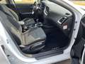 Kia Ceed / cee'd Ceed Spirit, Navi,Klimaaut.,PDC,AHK Blanco - thumbnail 15