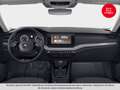 Skoda Octavia Ambition TDI Grau - thumbnail 3