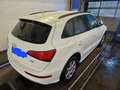 Audi Q5 Q5 2.0 TDI quattro S tronic design Weiß - thumbnail 5