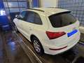 Audi Q5 Q5 2.0 TDI quattro S tronic design Weiß - thumbnail 4