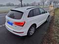 Audi Q5 Q5 2.0 TDI quattro S tronic design Weiß - thumbnail 3