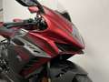 MV Agusta F3 MVAGUSTA RR Rood - thumbnail 4