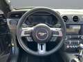 Ford Mustang GT V8 Convertible Cabrio California Edition Grau - thumbnail 13