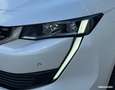 Peugeot 508 ii 2.0 bluehdi 180 s&s gt line eat8 + t.o focal camera sieges av electriques Weiß - thumbnail 30